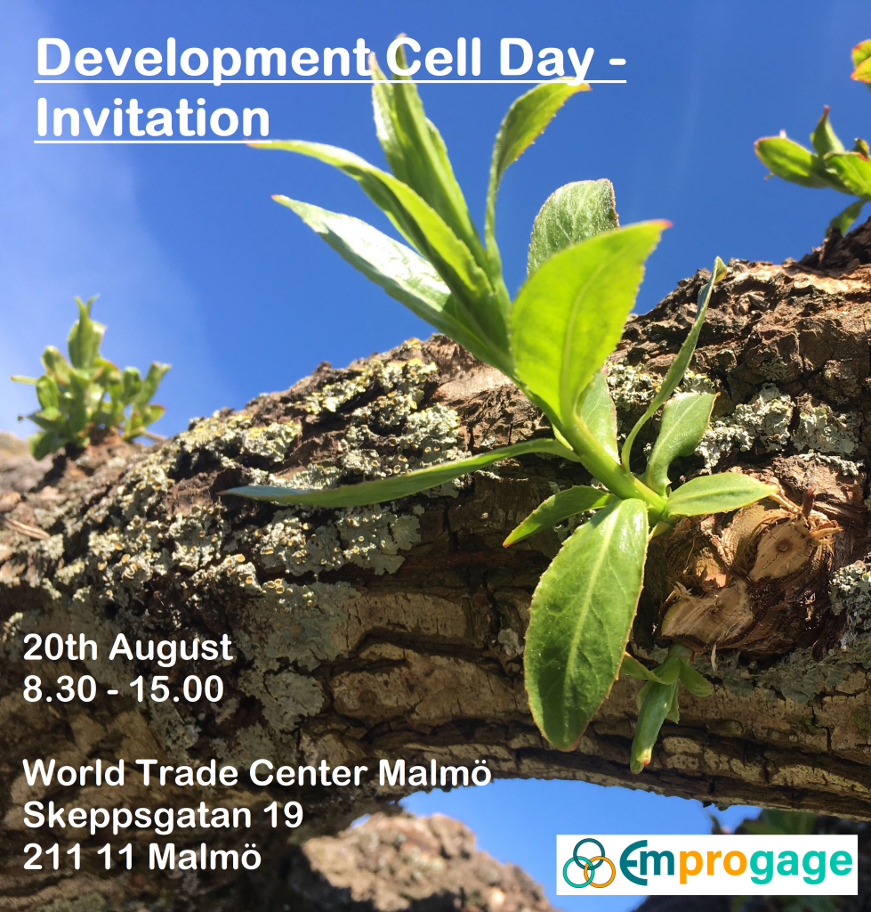 Development cell day invitation