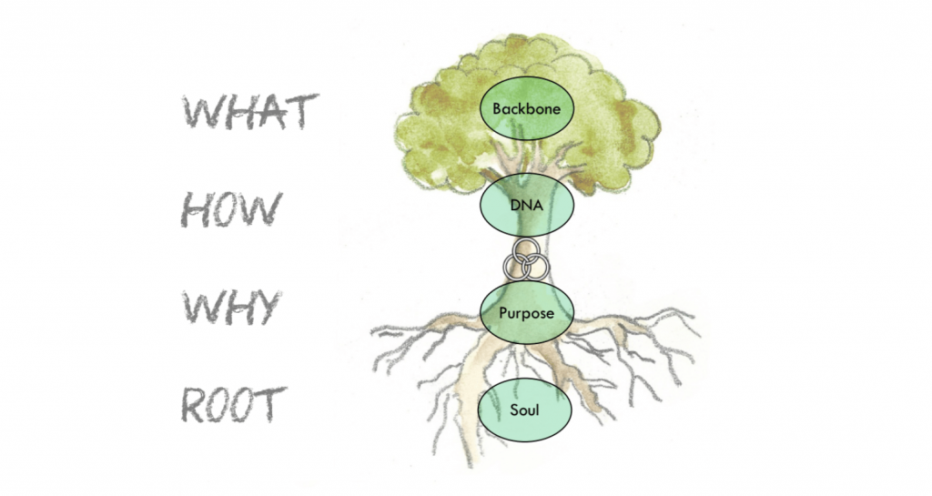 Emprogage as a complex living system with its core functions in the Heart wood of the tree.