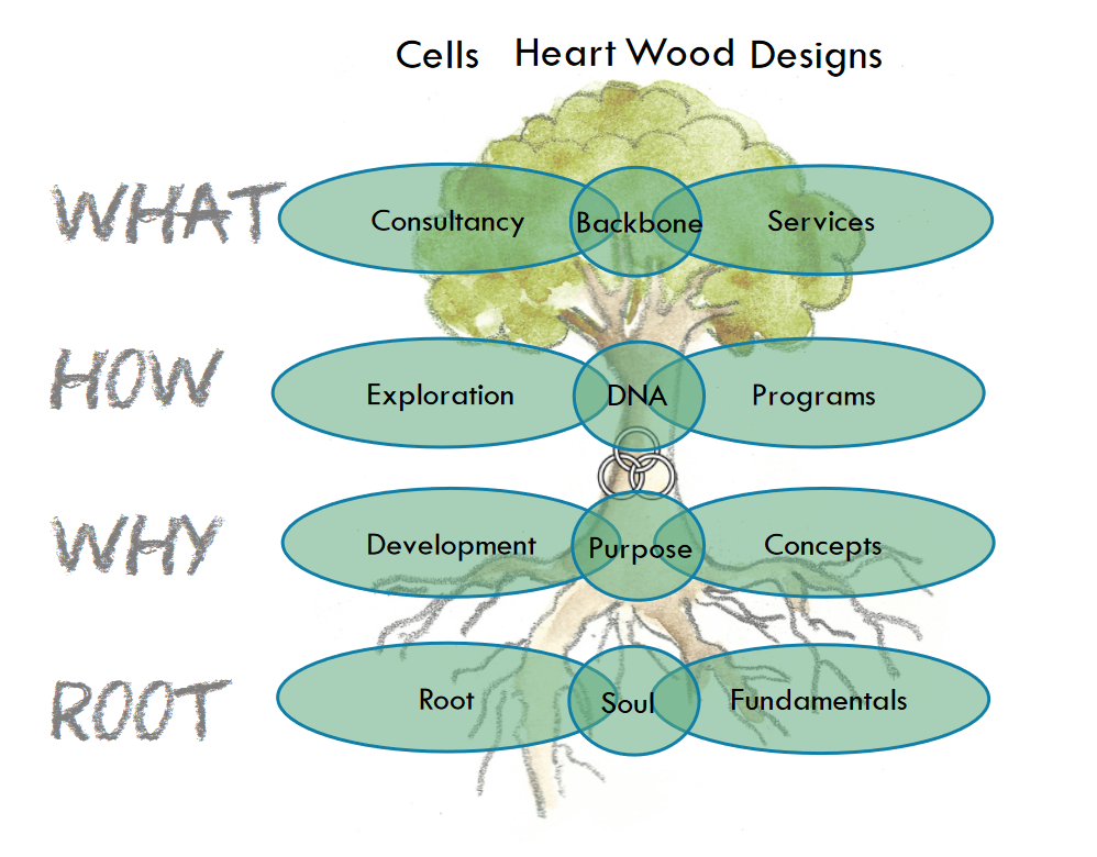 Emprogage Cells and Designs